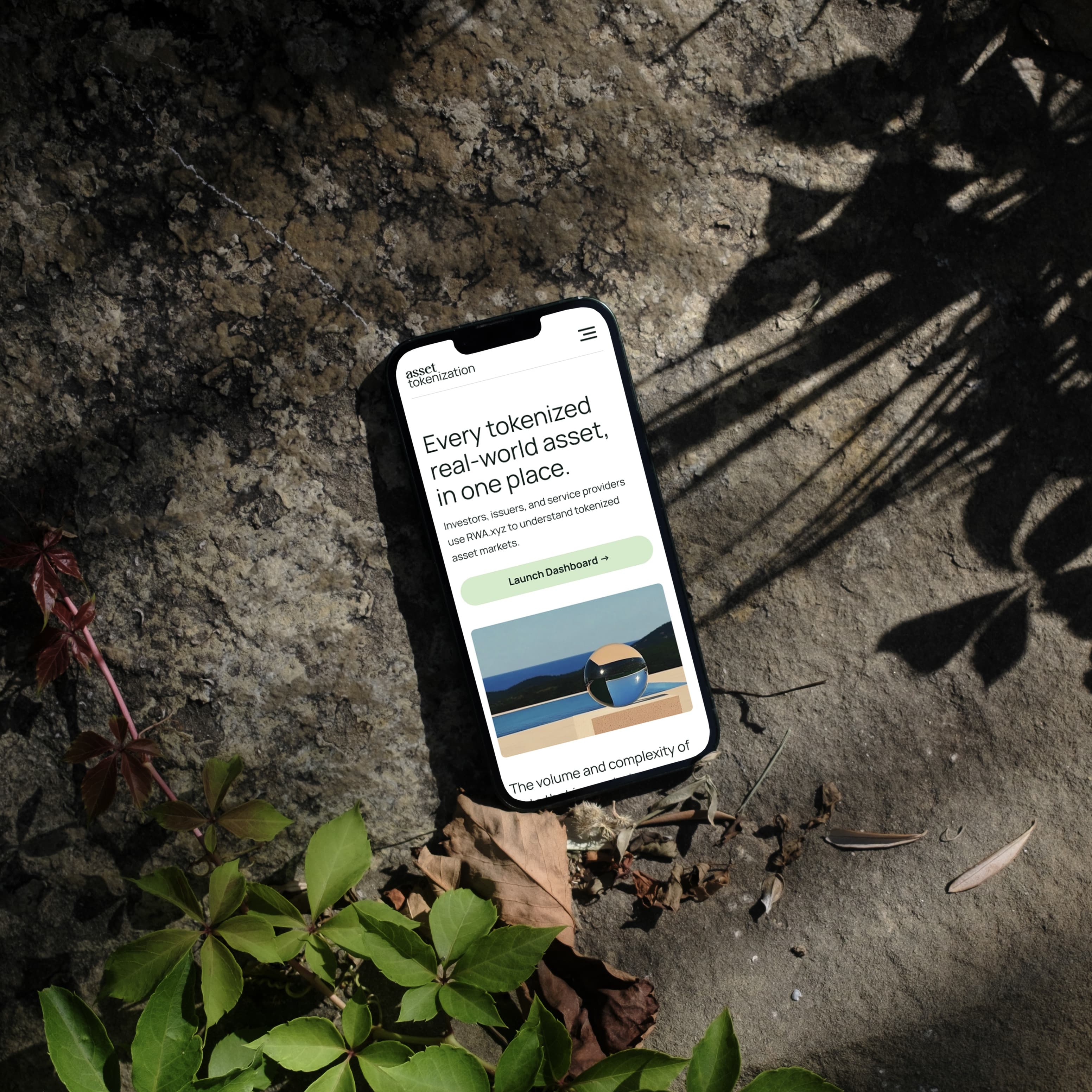 Asset Tokenization mobile website displayed on a phone resting against a tree.