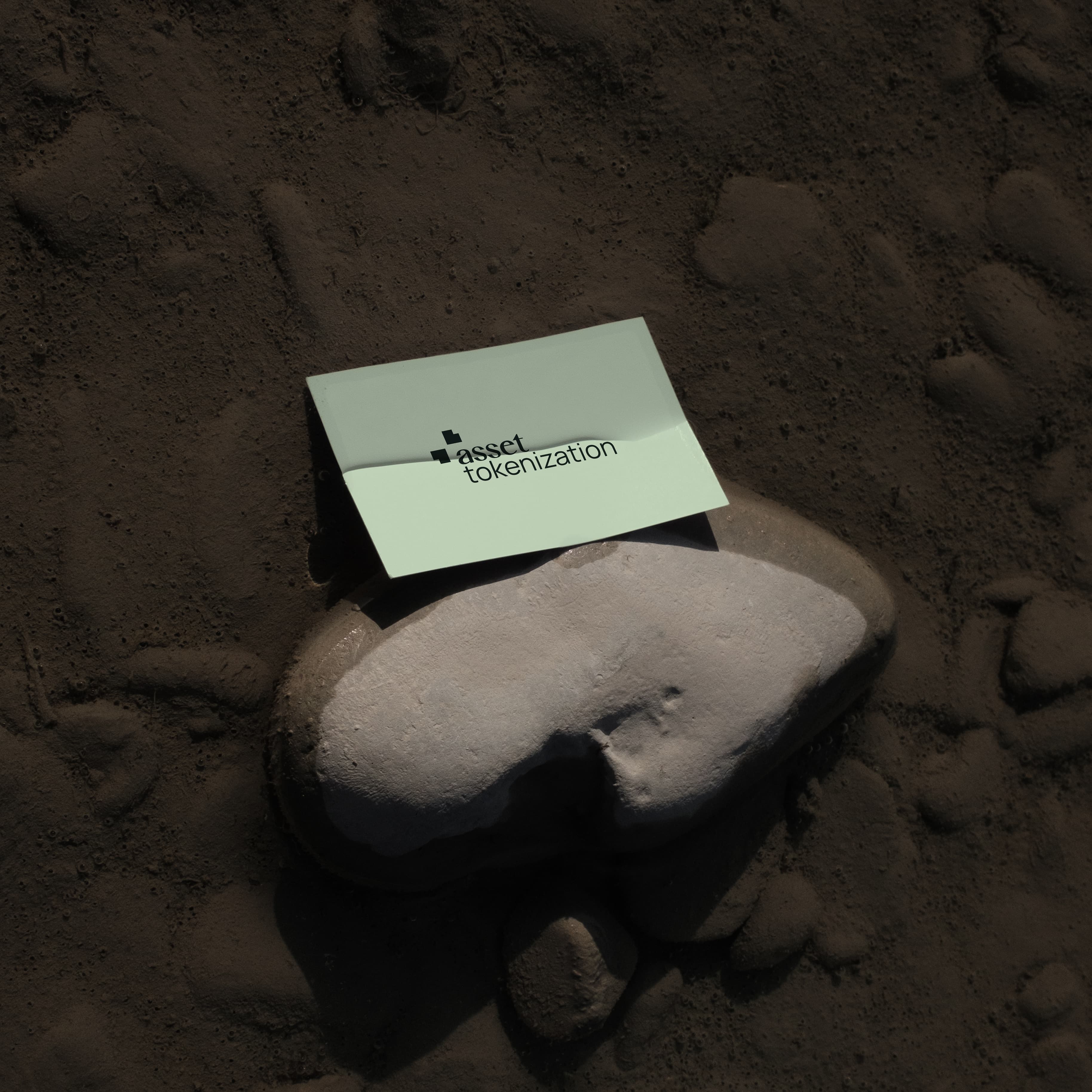 Pale green Asset Tokenization business card resting on a stone.